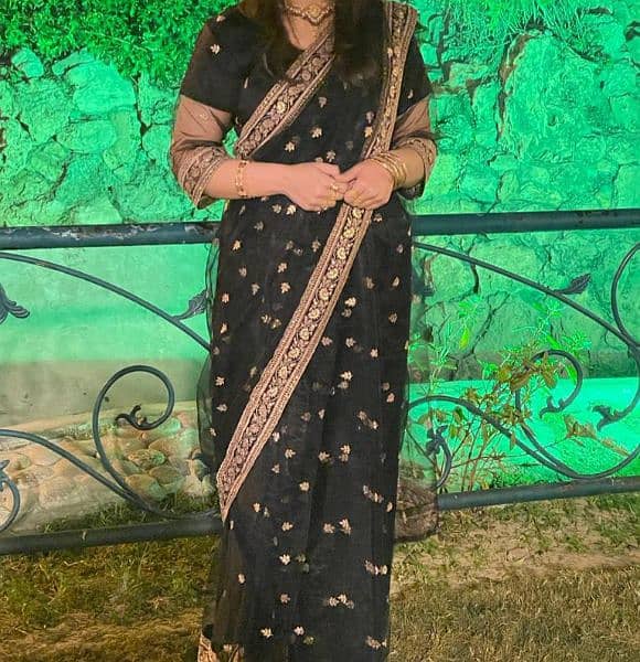 fancy sari 0