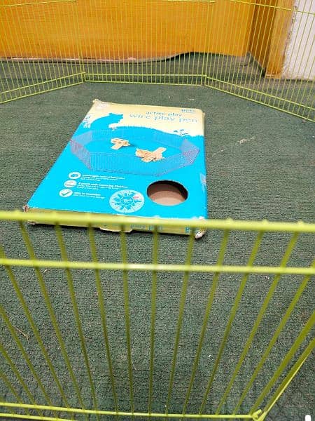 Pets Home Play area 7