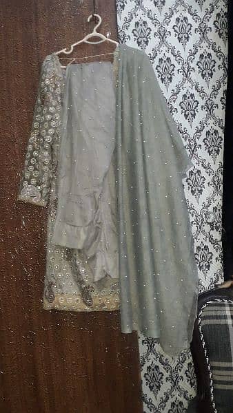 Beautiful fancy net dress with full embroidery 1