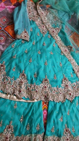 party dress /walima dress 3