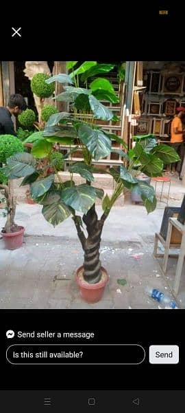 Artificial Plants and Flowers In Different Designs and sizes