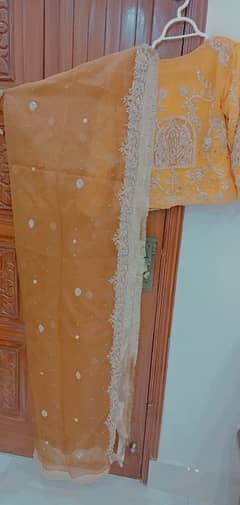 Bridal Mehndi Lehnga