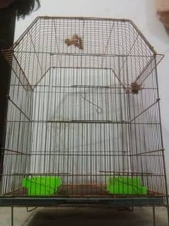 Birds Cage