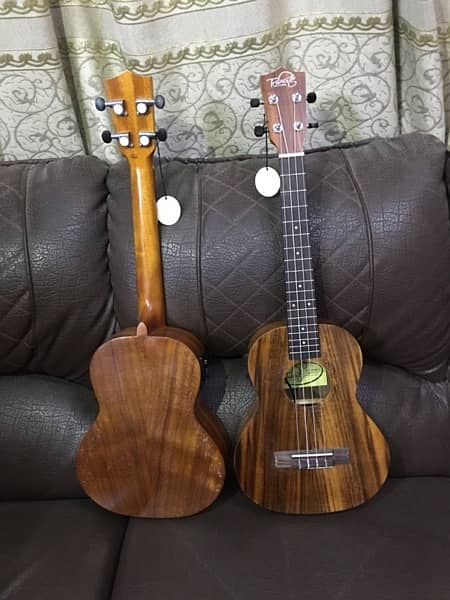 Semi Acoustic Ukulele 26 inch box pack new 0