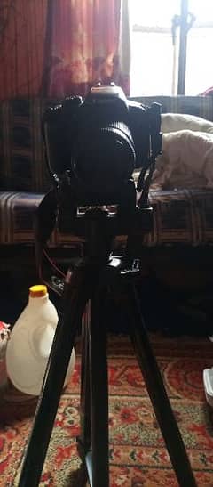 cameraman available for video shoot with camera