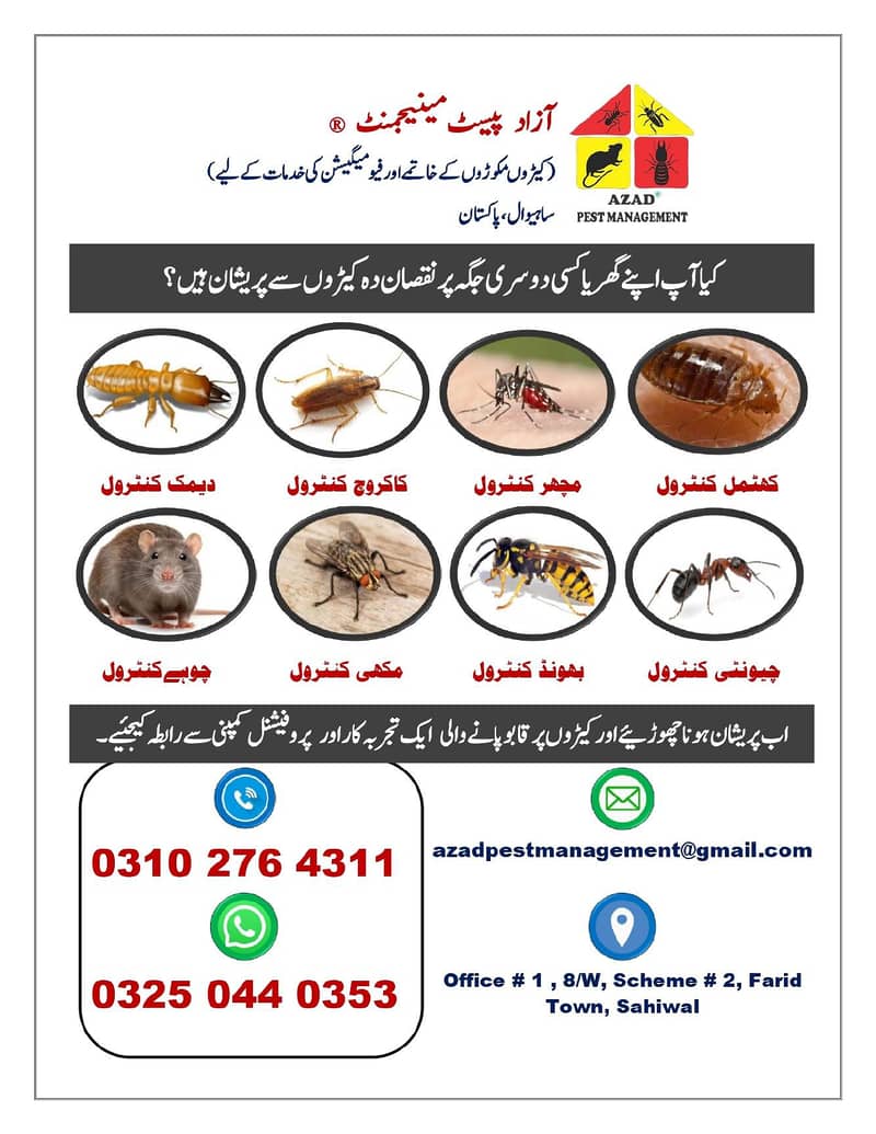 Pest Control | Termite Control | Fumigation Service | Okara, Depalpur 18