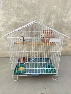 Parrots Pinjra in Pakistan, Free classifieds in Pakistan | OLX.com.pk