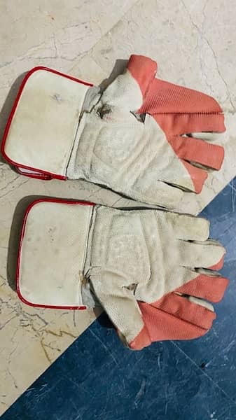 Gloves and Pads 2
