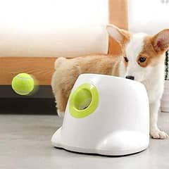 Interactive Ball Launcher for Dogs