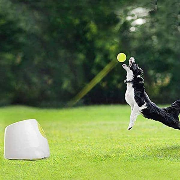 Interactive Ball Launcher for Dogs 2