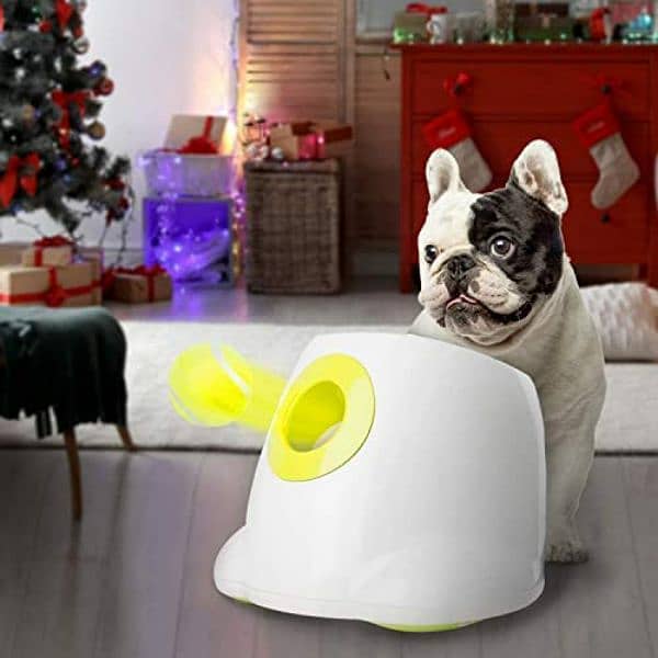 Interactive Ball Launcher for Dogs 3