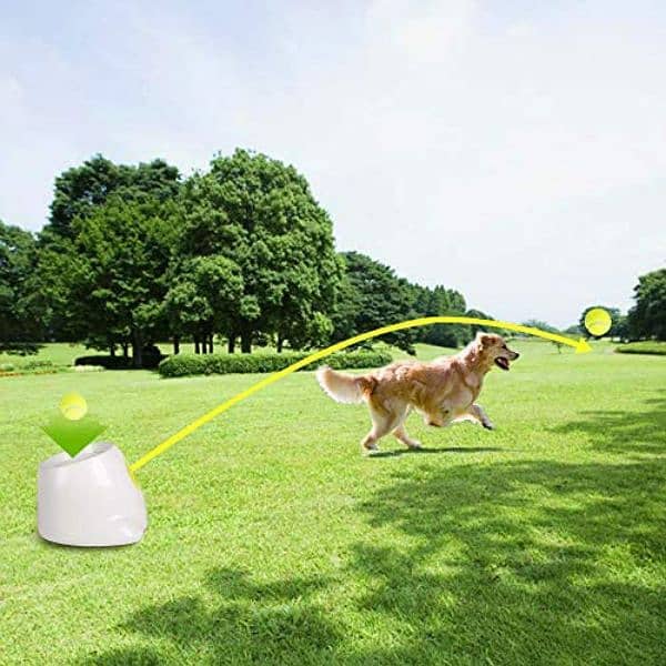 Interactive Ball Launcher for Dogs 4