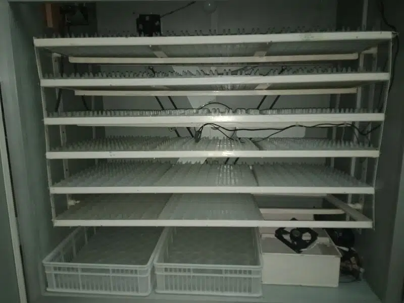 1586 eggs incubator for sale — photo 3
