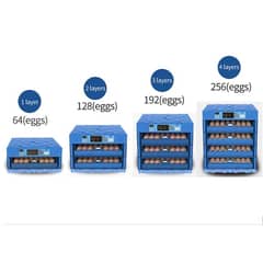 64 , 128 , 192 , 256 etc Eggs Imported Oregal yiang and other compaies