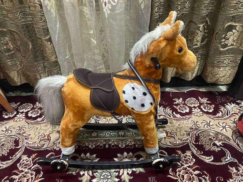 kids horse for sale 4