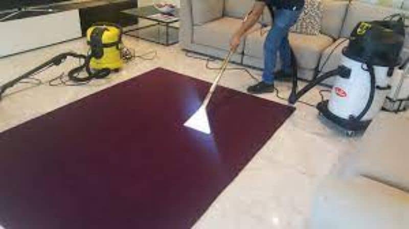 Carpet Cleaning Services | Sofa Cleaning Services 14