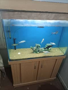3ft aquarium for sale