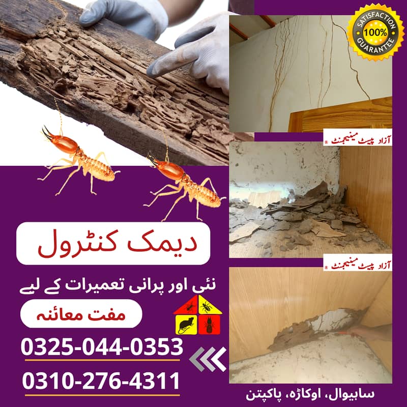 Pest Control | Termite Control | Fumigation Service | Okara, Depalpur 0