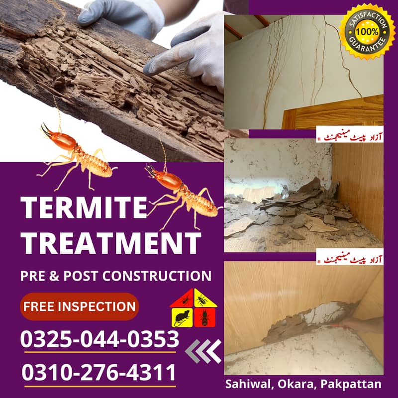 Pest Control | Termite Control | Fumigation Service | Okara, Depalpur 1