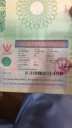 apply for usa visit visa turkey thailand malysia