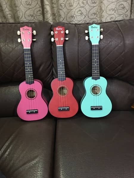 Sale Offer Ukulele 21 inch Monterey Australian Brand 0