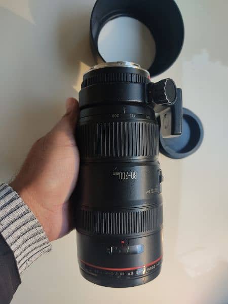 Canon 2.8L pro lens 80-200 8