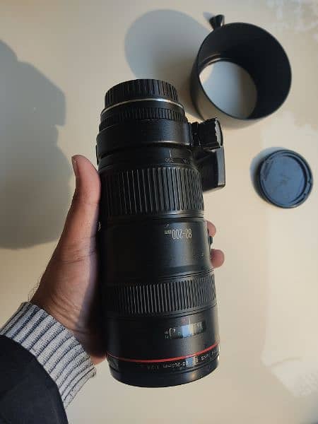 Canon 2.8L pro lens 80-200 10