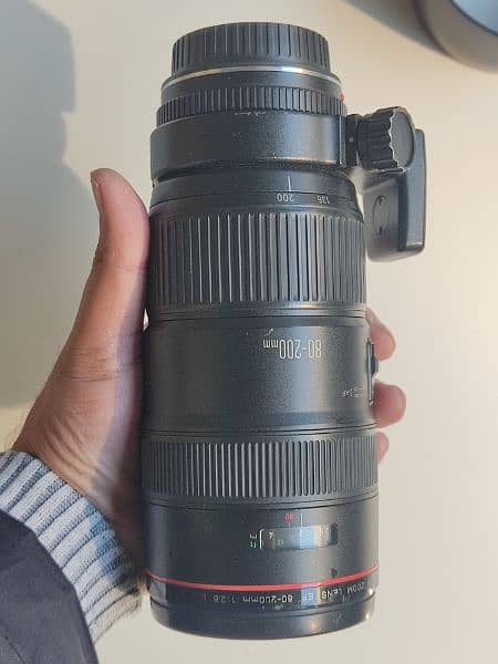 Canon 2.8L pro lens 80-200 11