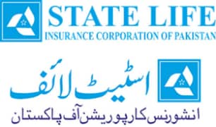 State Life insurance policy and consultancy services