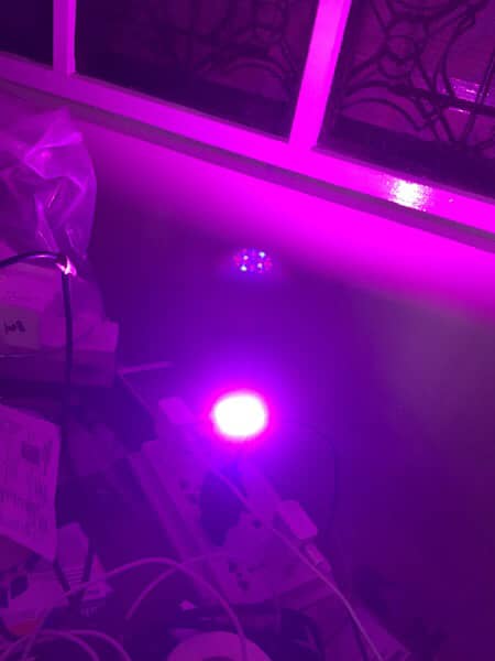 Grow Light 2