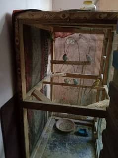 budgies cage for sale olx