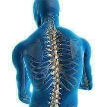 Physiotherapy Home Service Available in karachi