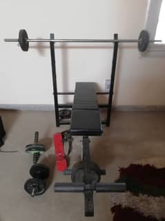 Exercise bench, equipment and weights