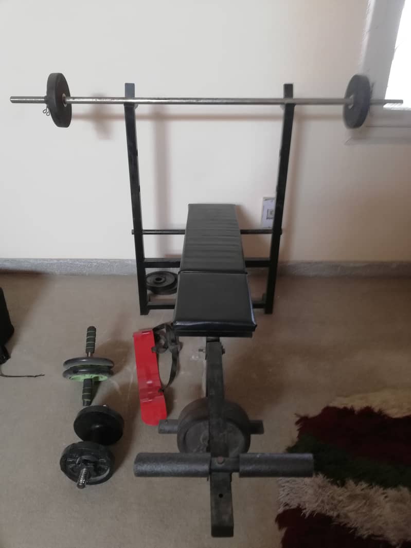 Exercise bench, equipment and weights 0