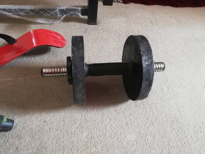 Exercise bench, equipment and weights 3