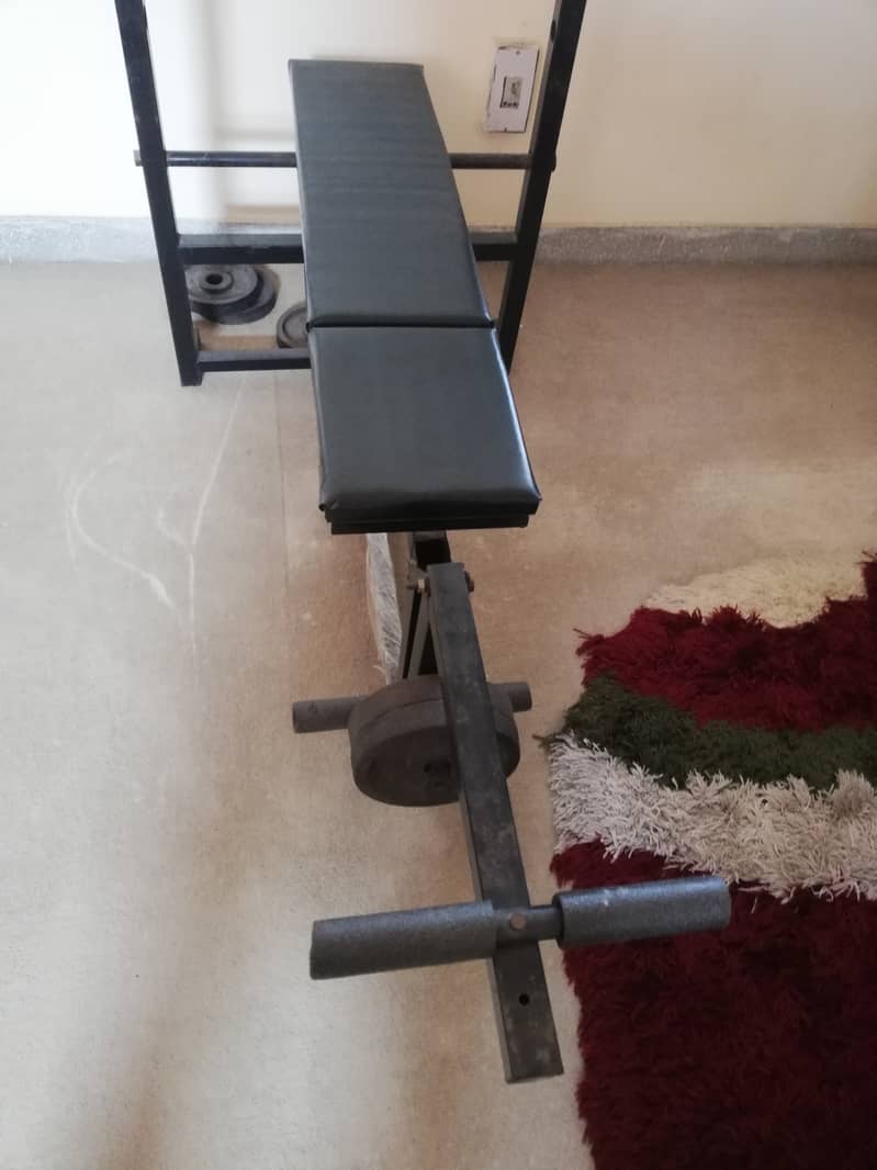 Exercise bench, equipment and weights 4