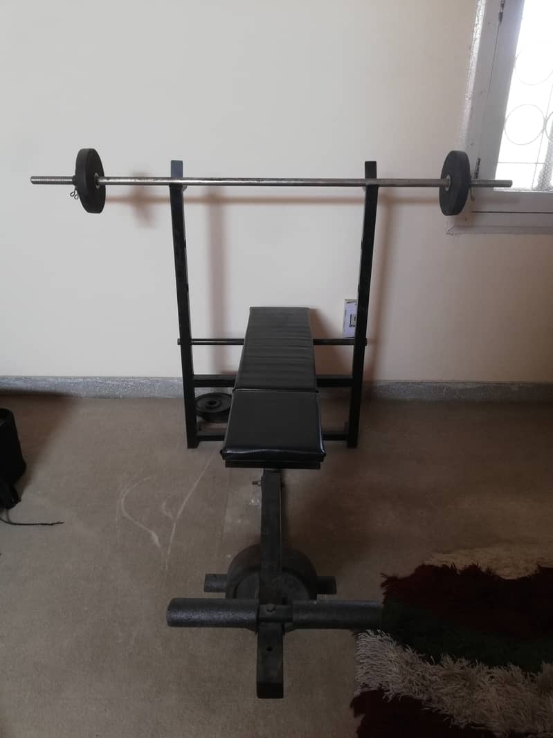 Exercise bench, equipment and weights 5