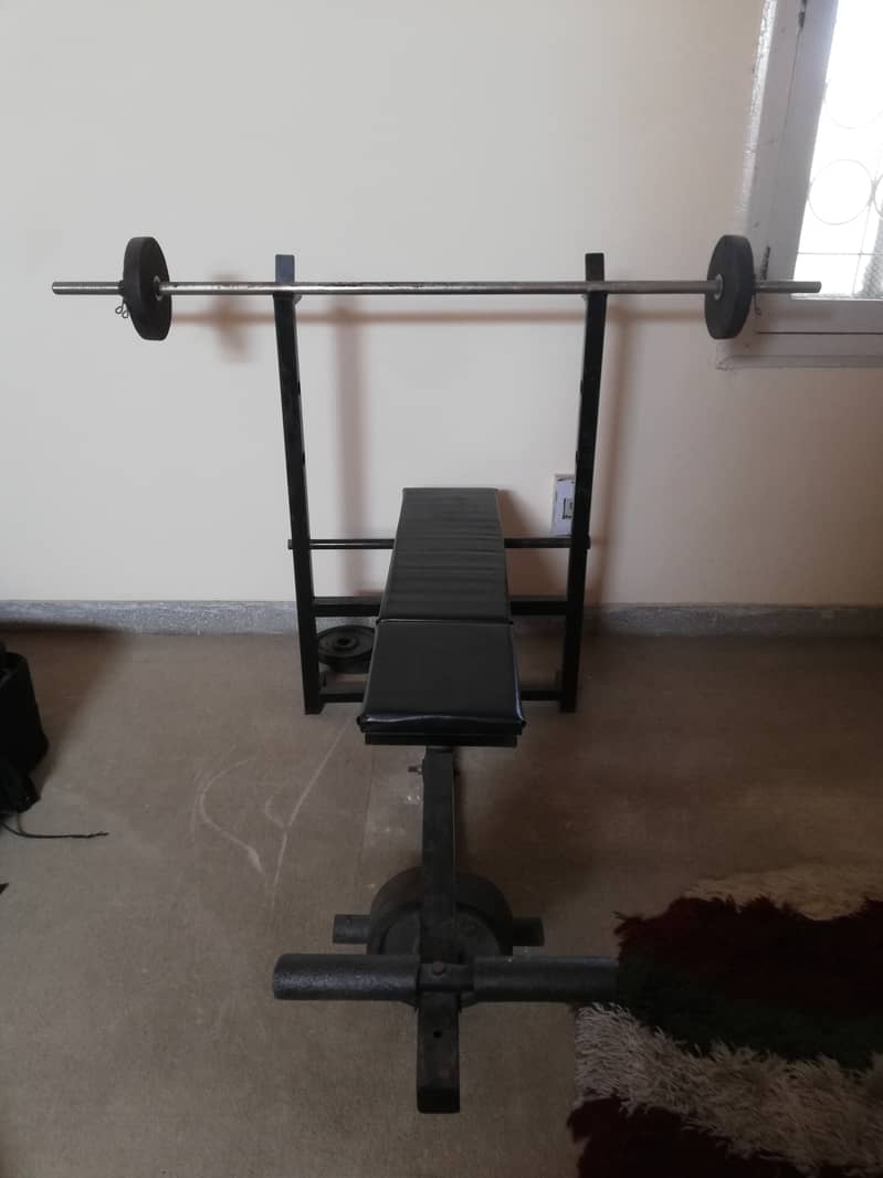 Exercise bench, equipment and weights 6