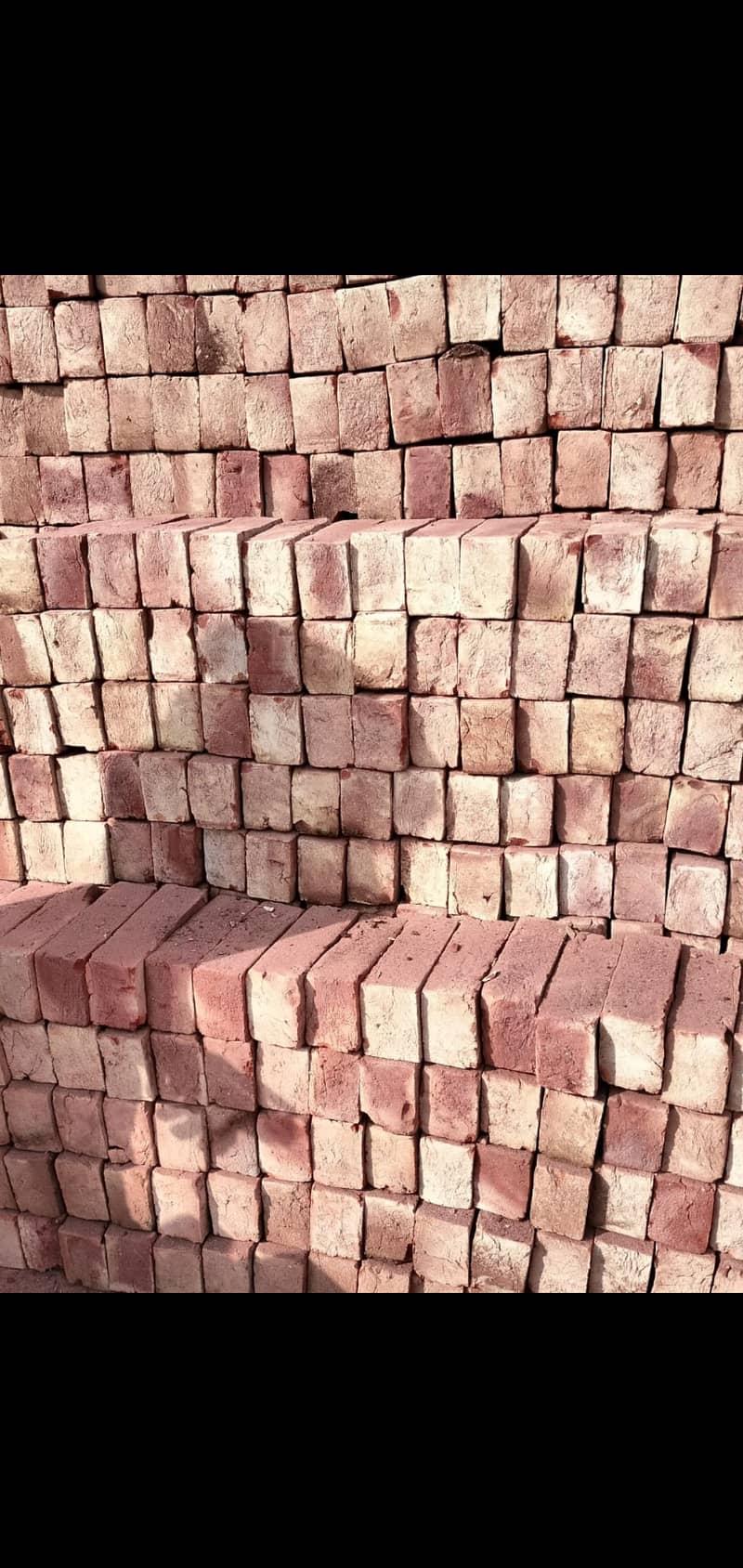 Bricks 11