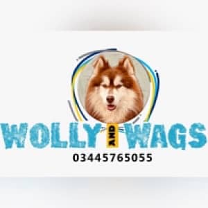 Waqas(wolly&wags)