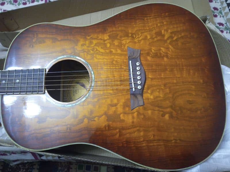 Branded Guitar kapak 14