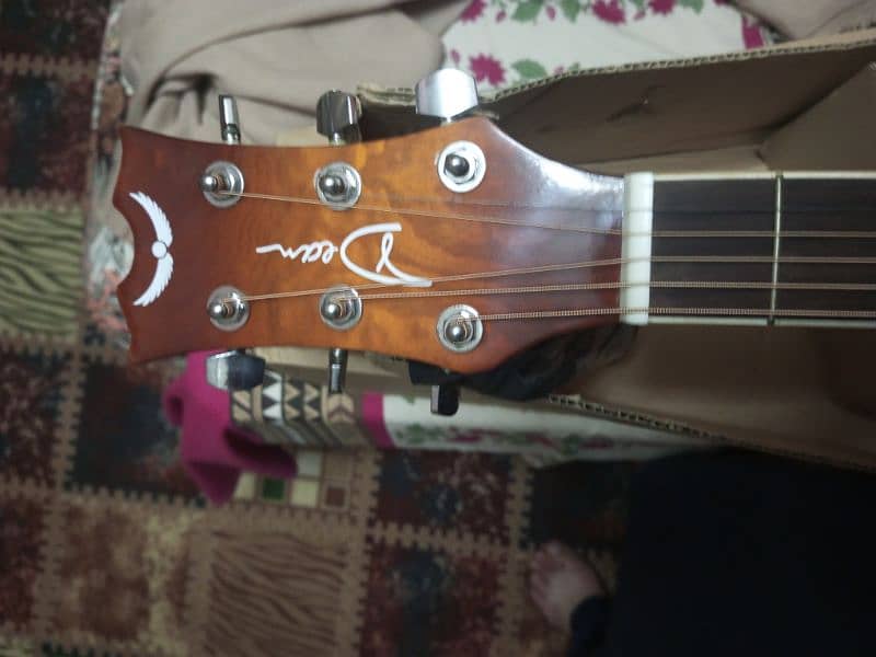 Branded Guitar kapak 15