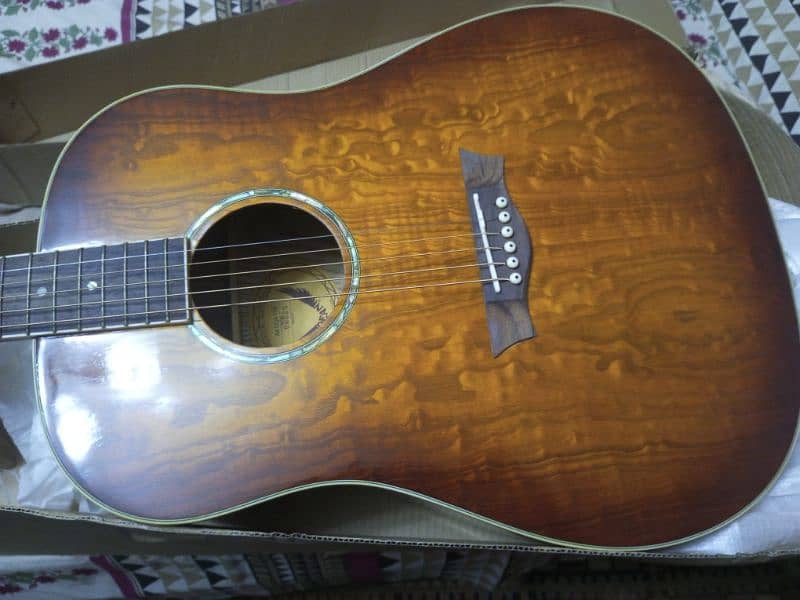 Branded Guitar kapak 16
