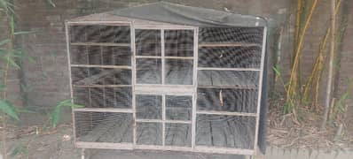 bird cage pinjra steel body
