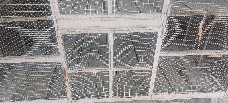 bird cage pinjra steel body 4