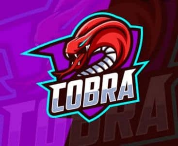 cobra