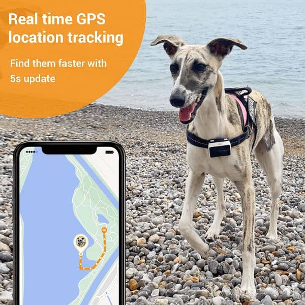 Pawfit 2 Pet GPS Tracker & Activity Monitor 1