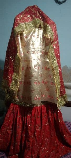 wedding gharara suit in bright red and purple color 1