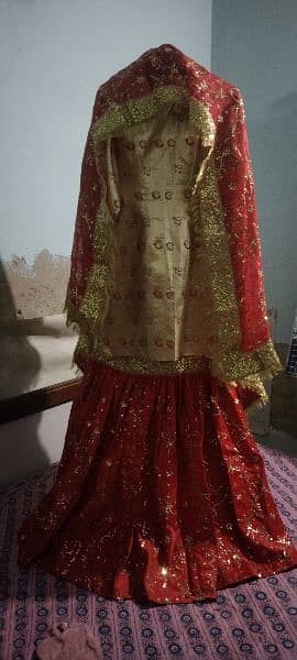 wedding gharara suit in bright red and purple color 3