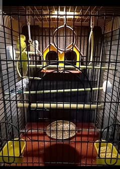 Fancy Cage For Gray Parrot